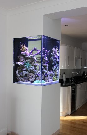 Bespoke Build Wall Aquarium - Fish Tank In Wall Cost Uk
